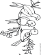 birds coloring page