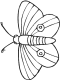 butterfly coloring page