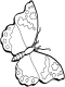 butterfly coloring page