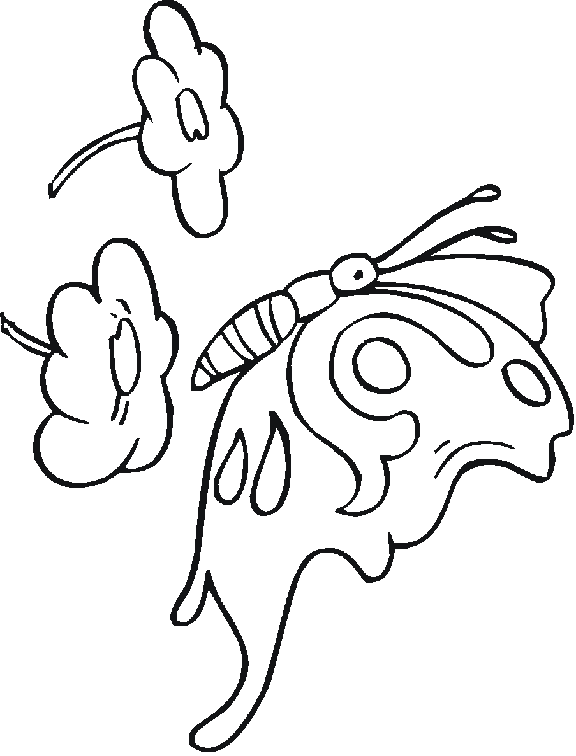 Coloring Pages Butterflies