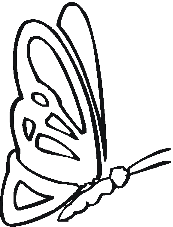printable coloring pages of butterflies. Butterfly printable coloring