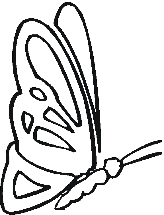 coloring pages butterfly