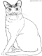 cat coloring page