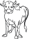 cow coloring page