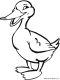 duck coloring page