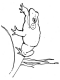 bullfrog coloring page