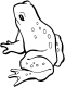 frog coloring page