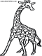 giraffe coloring pages