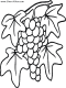 grapevine coloring page