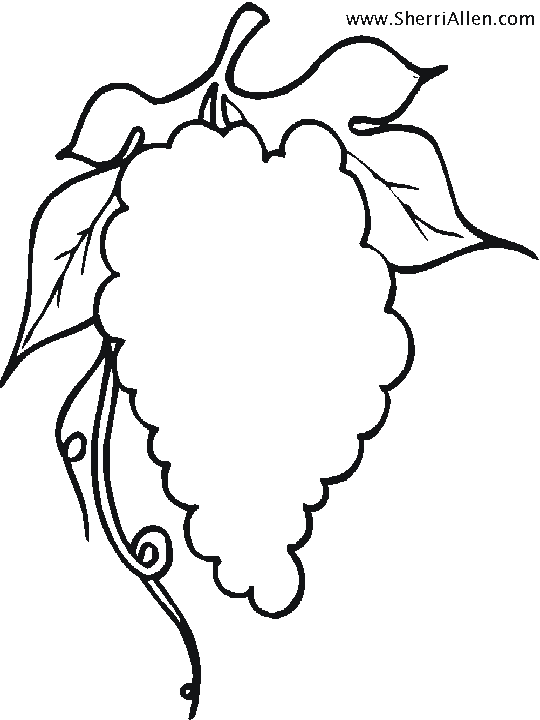 Free Fruit Coloring Pages from SherriAllen.com