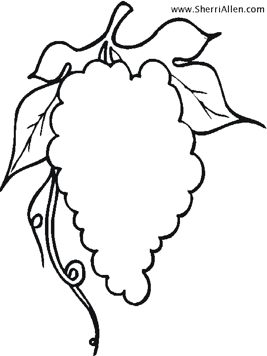 Grapes coloring pages