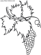 grape cluster coloring picture