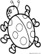 ladybug coloring page