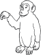 monkey coloring page