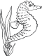 seahorse coloring page