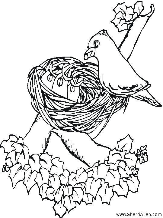 http://www.sherriallen.com/coloring/images/spring1.gif