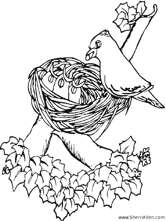 Spring coloring pages