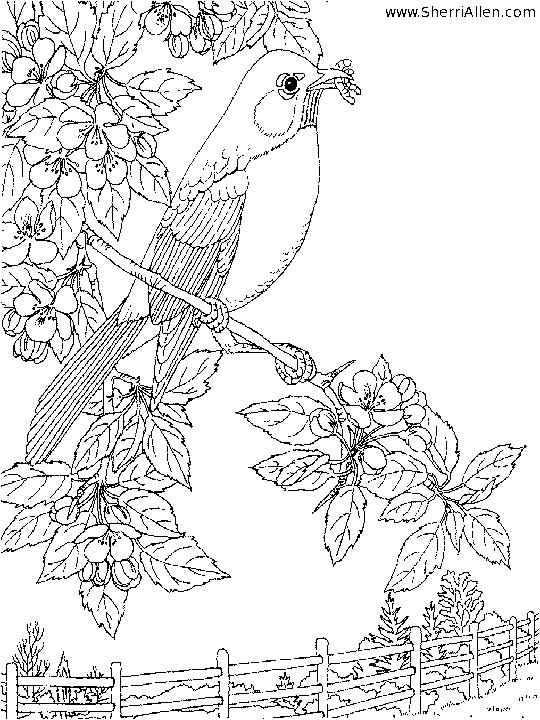 Spring printable coloring pages