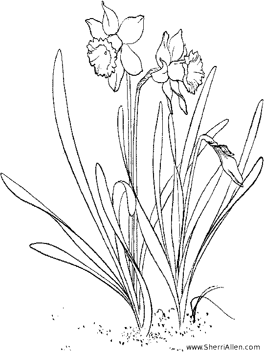 http://www.sherriallen.com/coloring/images/spring4.gif
