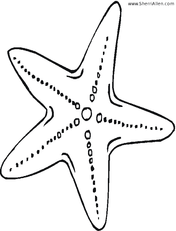 shape poems for kids. Draw a sea star shape onto a
