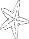 starfish coloring page