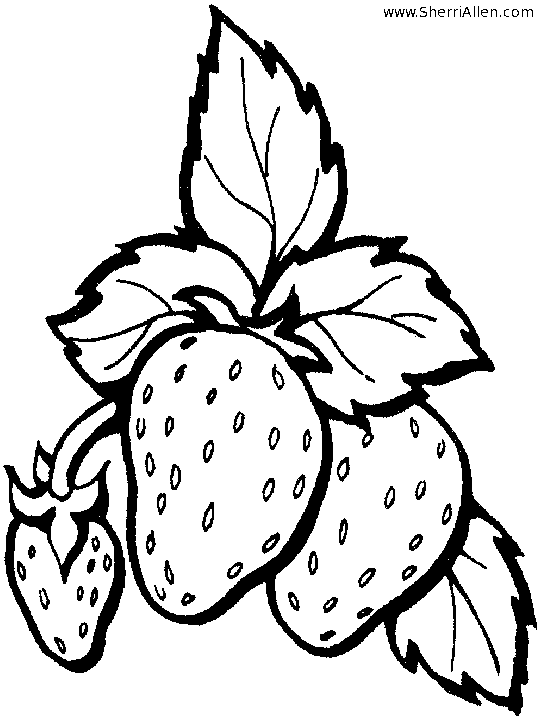 Strawberry coloring pages