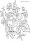 strawberry bush coloring page