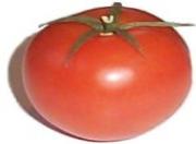 red ripe tomato